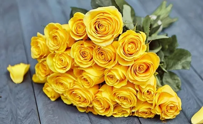 Beautiful Flowers Image - beautiful Yellow Rose - Yellow Rose Bouquet