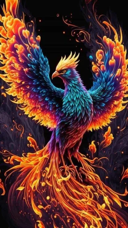 Fantasy World Images HD - Beautiful Phoenix Bird image