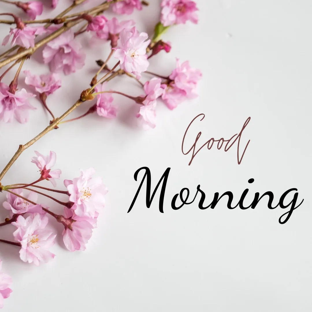 Good Morning Message IS Written In White Space With The Small Pink Flowers At The Corner of The Image
