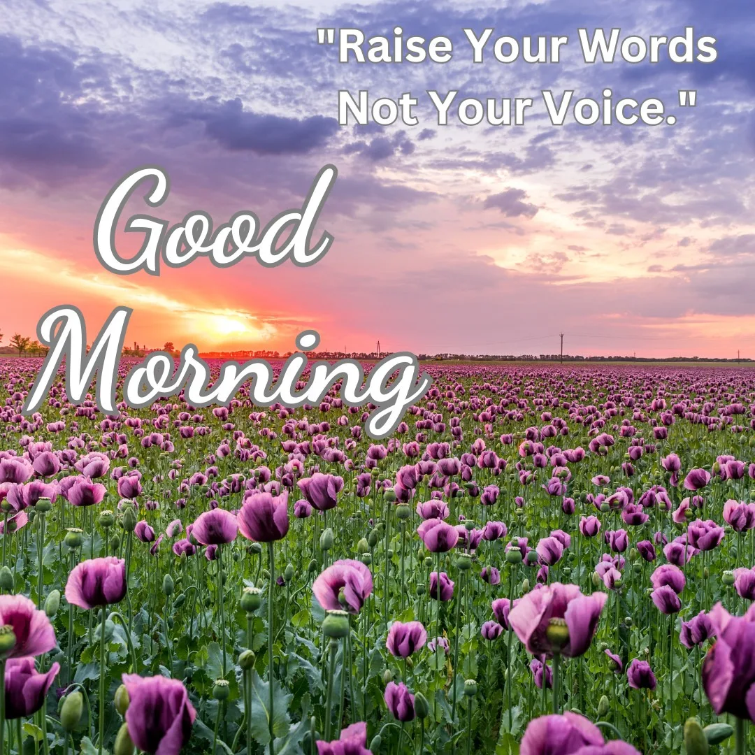 Good Morning Images With Positive Words and in this image Sun is Rising and sky is purple with purple flowers Garland
