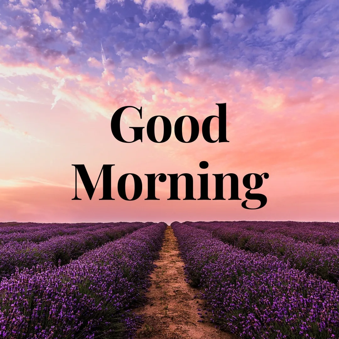 Beautiful Lavender Garland And Purple Sky Image With Good Morning Message