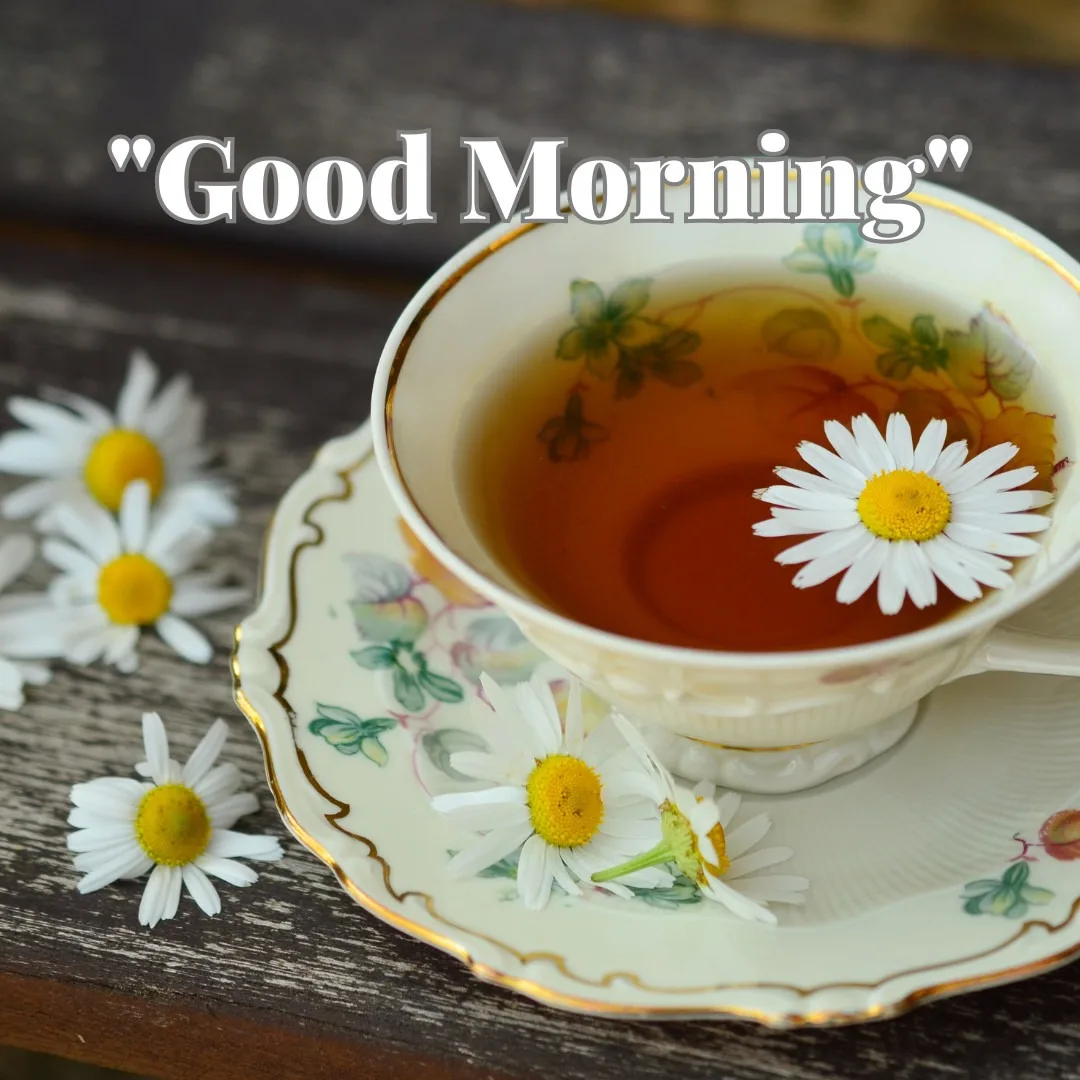 Photo of leaf Printed on White Ceremic Cup And Saucer with Green Tea on Wooden Table with some White Flowers in the tea and beside the saucer with Good Morning Message