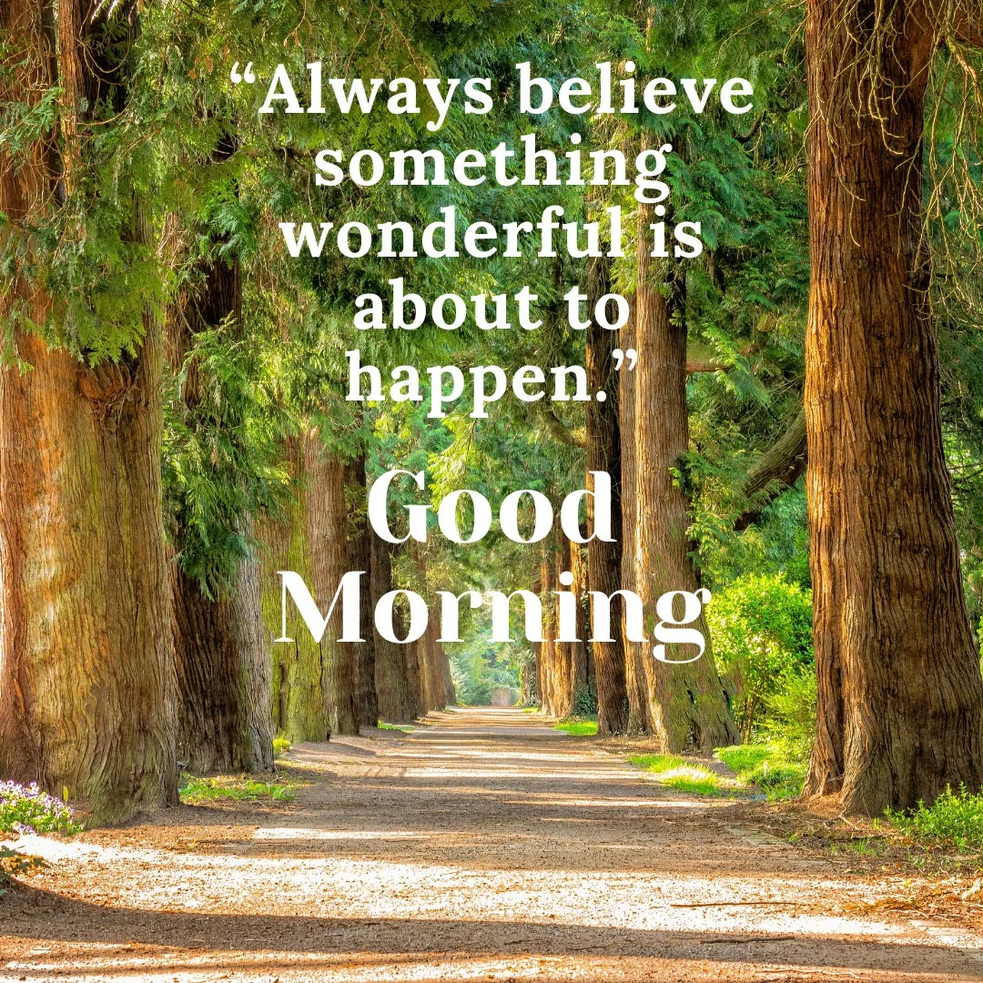 Image of Path Between Trees With Good Morning Message And Quotes