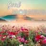 Sunrise Good Morning Images With Nature-FREE Download/Beautiful Valley Of Flower with Good Morning Message