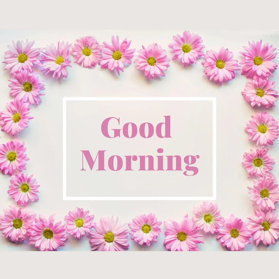Sunrise Good Morning Images With Nature-FREE Download/Pink Flower with Good Morning Message