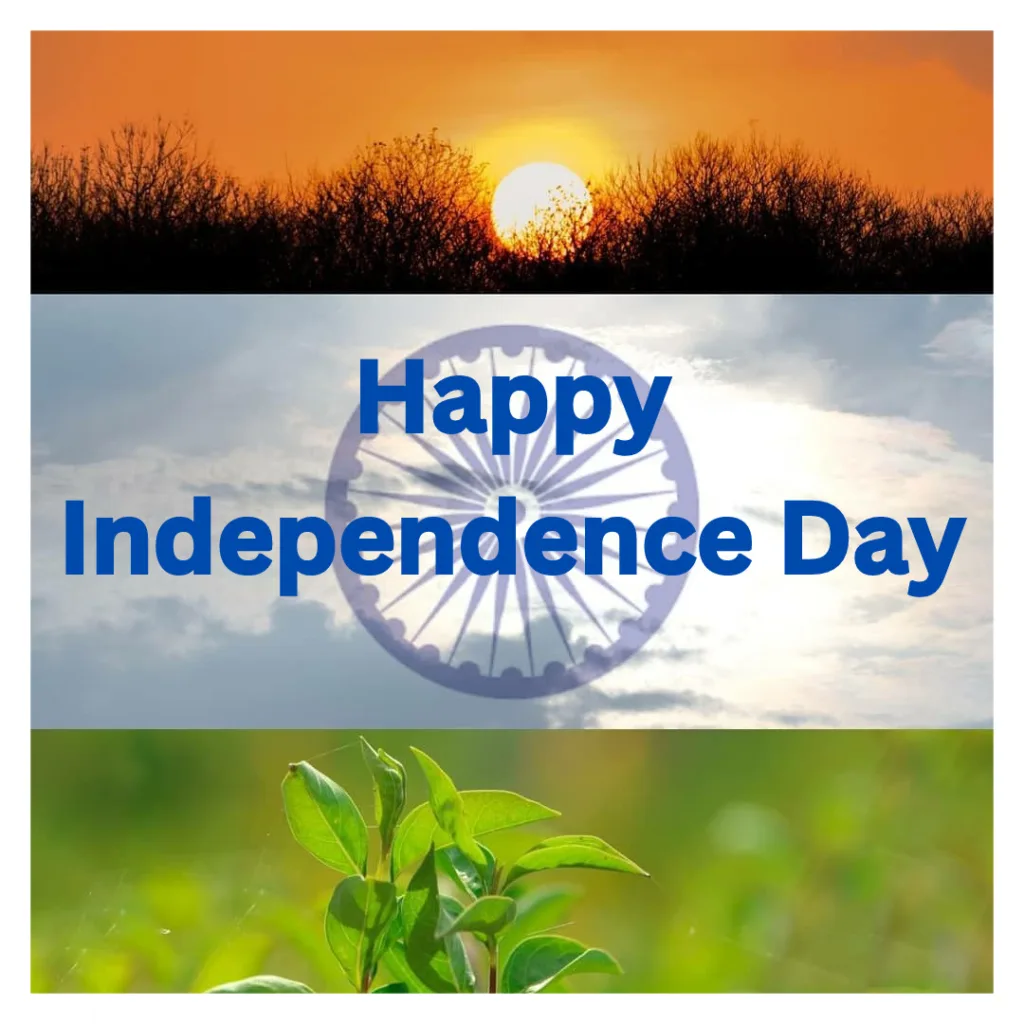 Happy Independence Day Wallpaper/Beautiful Independence Day Wallpaper 