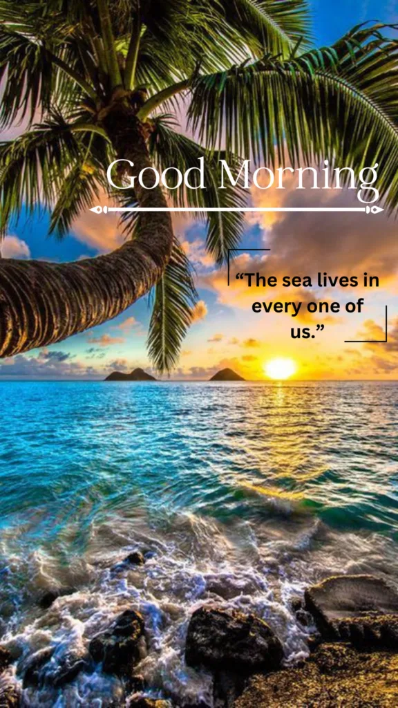 Aesthetic Beach Wallpaper/Good Morning Messages/Amazing Sea view with Rising Sun Image