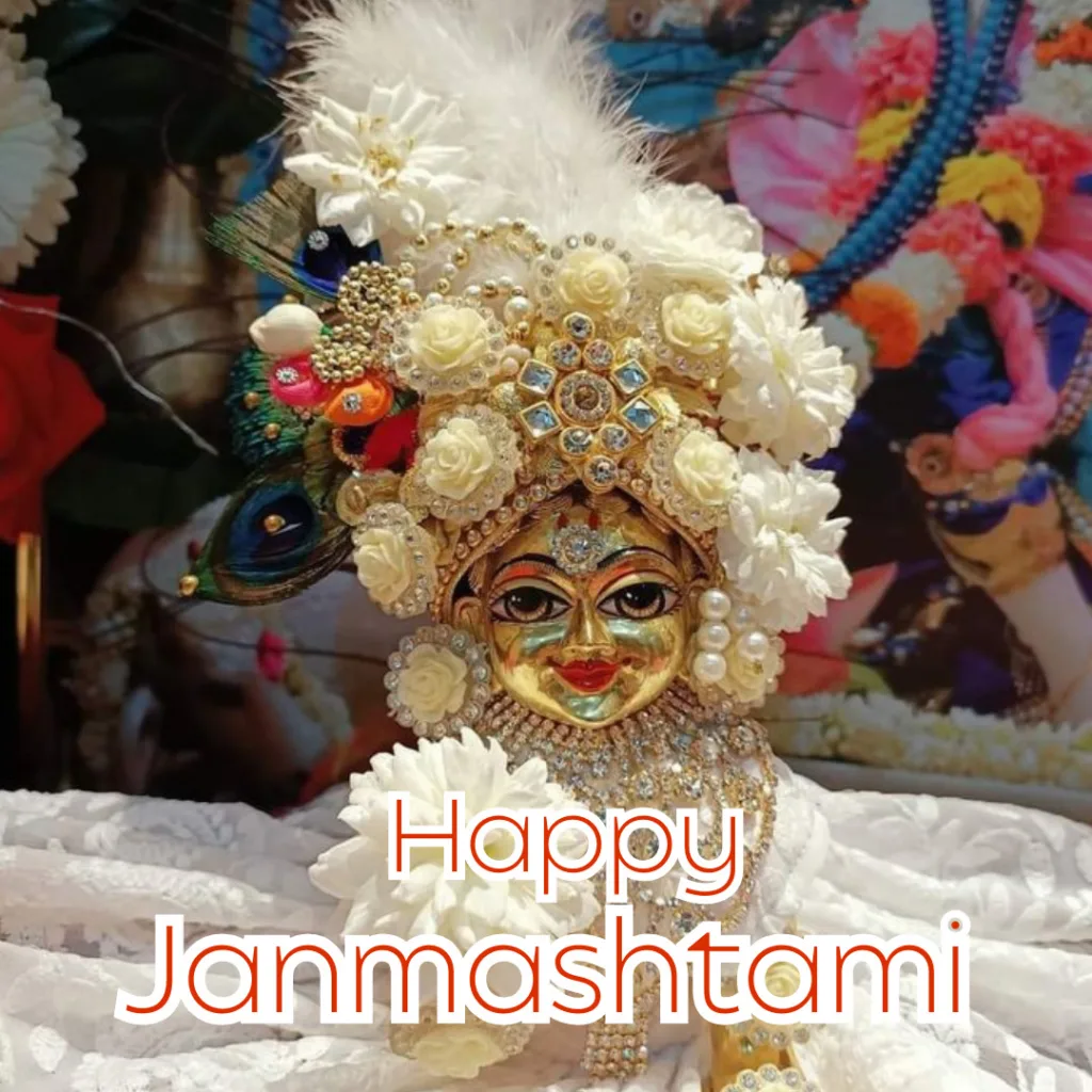 Happy Janmashtami/balgopal image