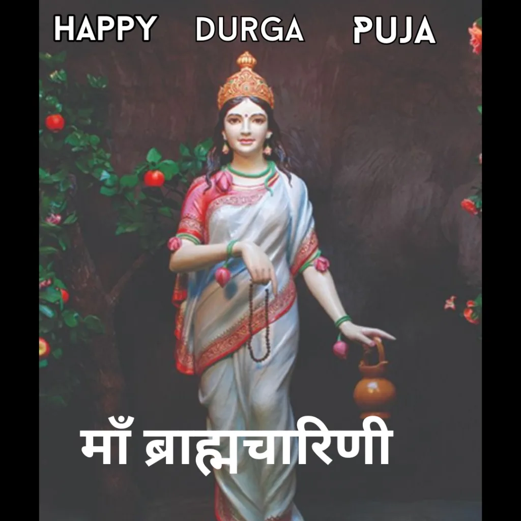 Happy Durga Puja Wishes / Poster of maa Brahmacharini 
