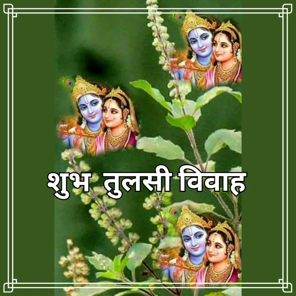 Tulsi Vivah /image of radha krishn in tulsi plant poster
