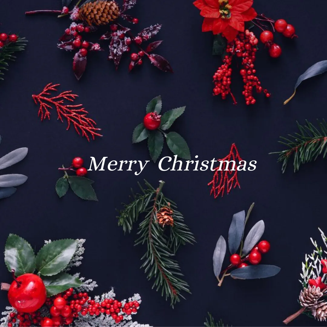 Happy Christmas Images 2023 /beautiful wallpaper of merry christmas