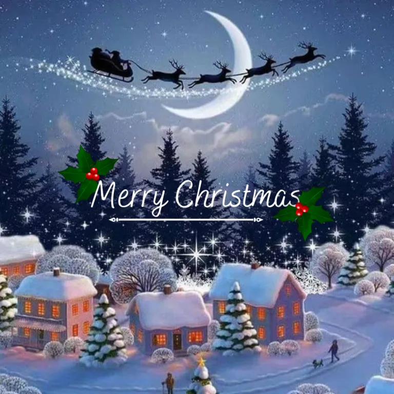 Happy Christmas Images 2023 / beautiful scenery of merry Christmas festival