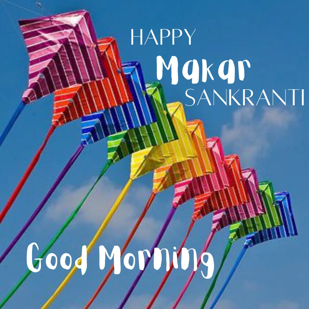 Happy Makar Sankranti Images / image of colourful kites flying in the sky on makar sankranti festival